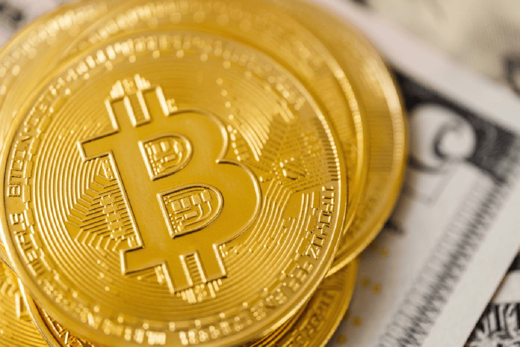 halving kripto