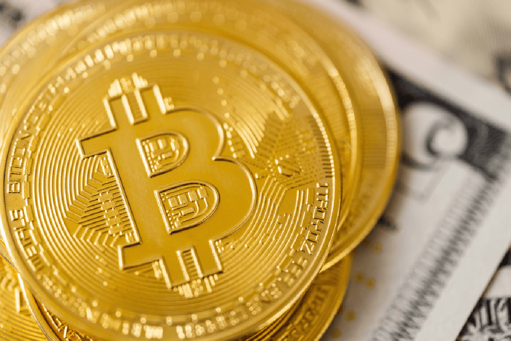 halving kripto