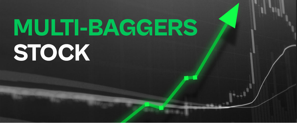apa itu saham multibagger