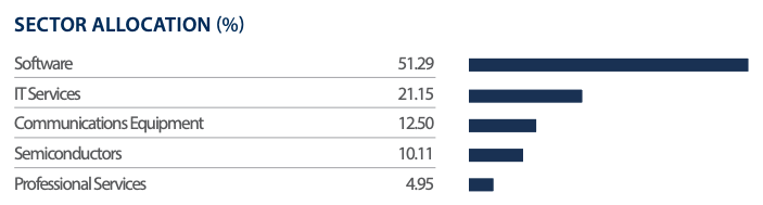 ETF Kemanan Siber: Alokasi sektor First Trust Nasdaq Cybersecurity UCITS ETF Acc