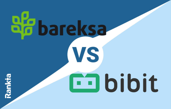 bibit vs bareksa ulasan