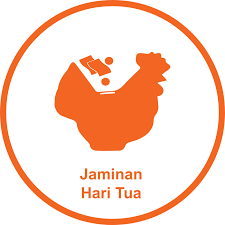 Jaminan Hari Tua