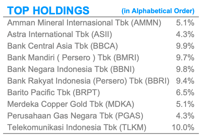 Top Holding Pinnacle Indonesia ESG ETF (XPSG)