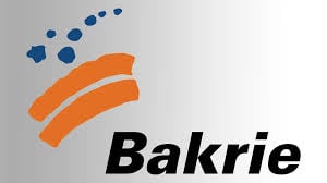 sektor bisnis saham group bakrie