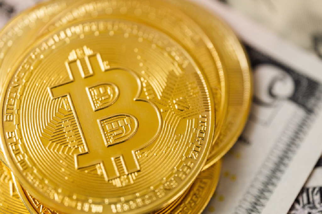 halving kripto