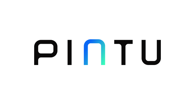 review PINTU