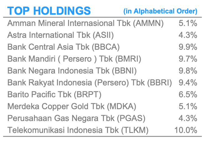 Top Holding Pinnacle Indonesia ESG ETF (XPSG)